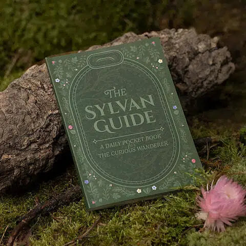 Enchanted Forest Advent Calendar 🌲✨📖