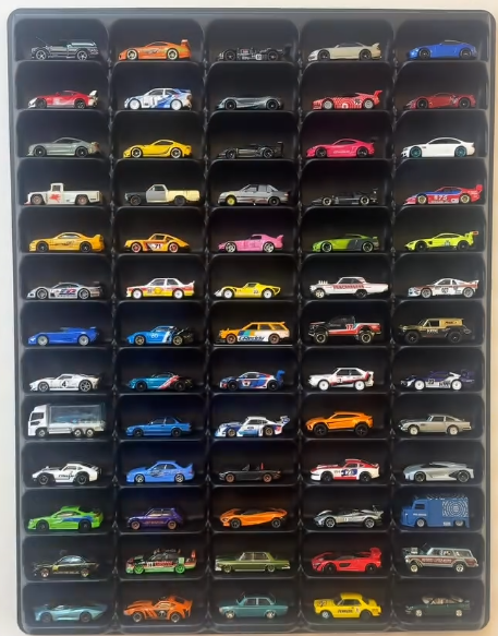 Mount Display Case with LED Lighting